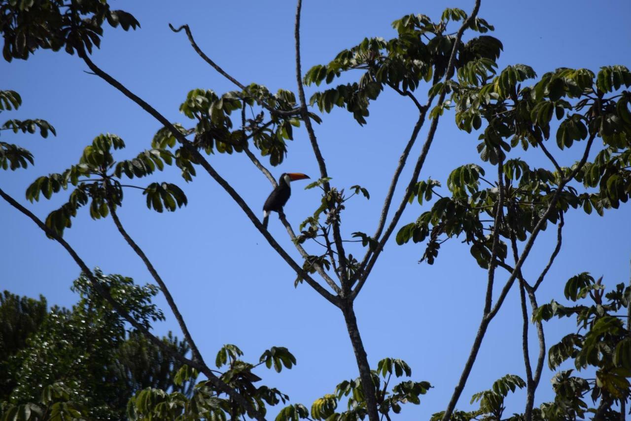 Apartmán Vila Dos Cristais Alto Paraíso de Goiás Exteriér fotografie