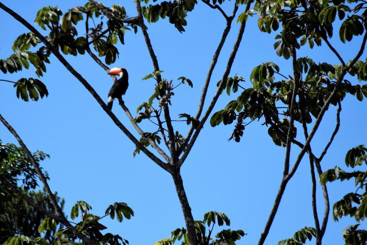 Vila Dos Cristais Alto Paraíso de Goiás Exteriér fotografie