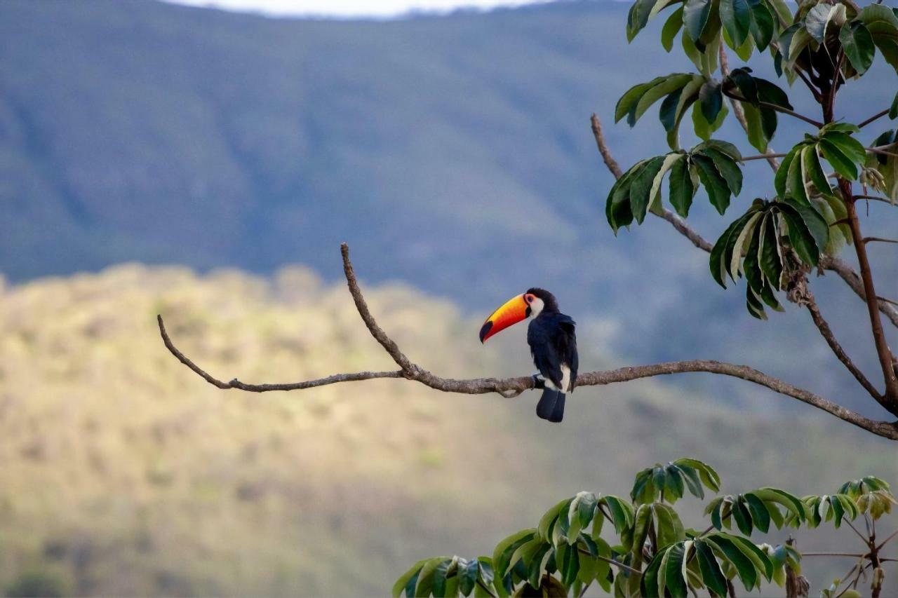 Vila Dos Cristais Alto Paraíso de Goiás Exteriér fotografie